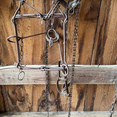 Body Grip Traps and Others 