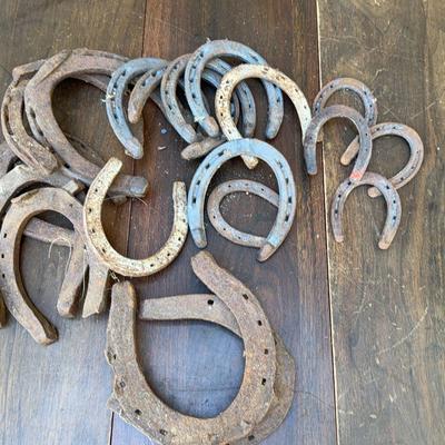 Diamond Horseshoe Collection-Different Sizes 