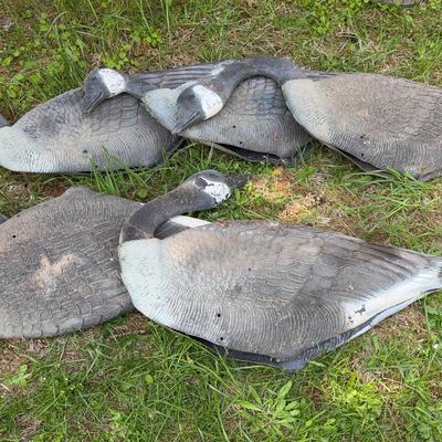 Giant Canadian Geese Decoys (?)