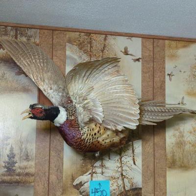 Sale Photo Thumbnail #136