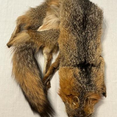 Fox Stole 