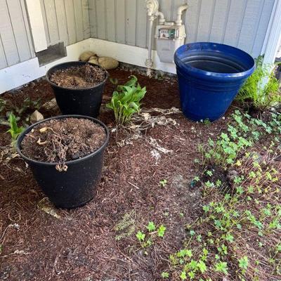 Lawn and garden
