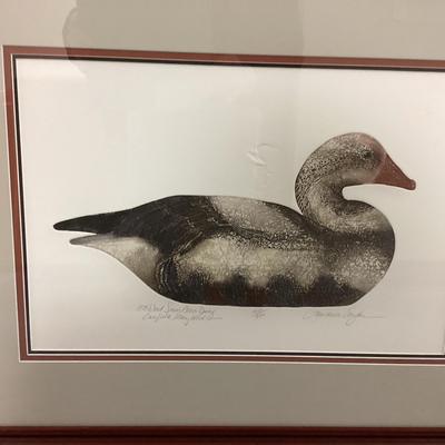 Snow Goose Print By Lawrence Snyder