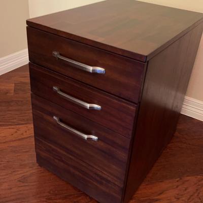 File Cabinet on Wheels - Lot 1