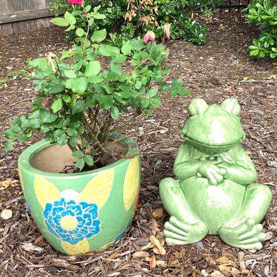 Ceramic Pot with Rose Bush and Ornamental Ceramic Frog