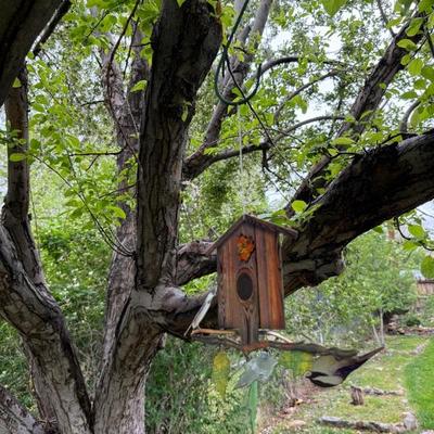 Sale Photo Thumbnail #156