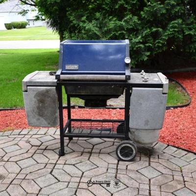 603 back yard