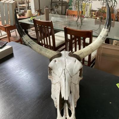Bull Skull 2