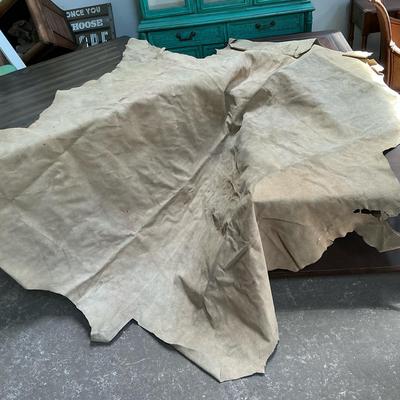 Huge Leather Hide