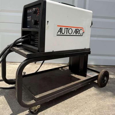 Auto Arc Welder...Lot's of Accessories....This Thing is Nice!