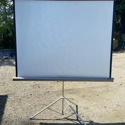Huge Vintage Da-Lite Picture King Projector Screen