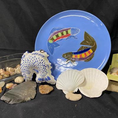Rocks, Shells, Fossil And Seaside Decor