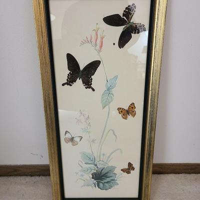 Real Butterflies mounted in art