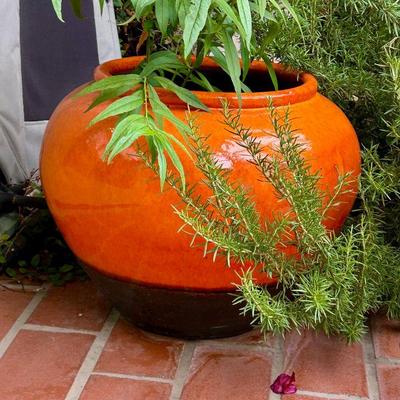 Gorgeous large orange pots