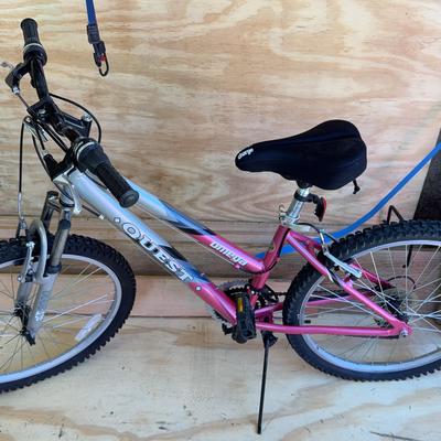 Omega Quest Bike