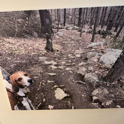 Sale Photo Thumbnail #53