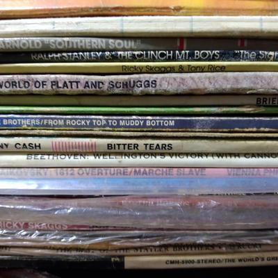 Vinyl Record Collection #2