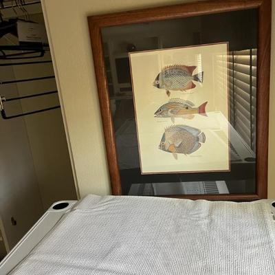 Fish framed art