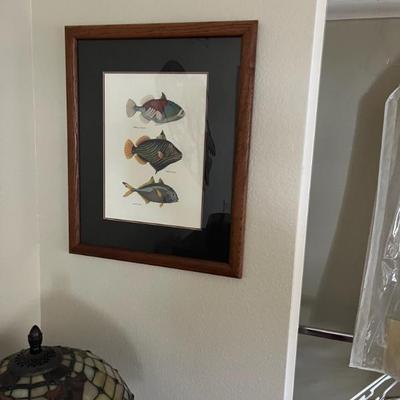 Fish framed art