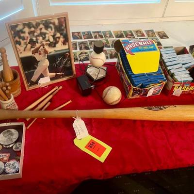 Baseball including Steve Garvey bat 