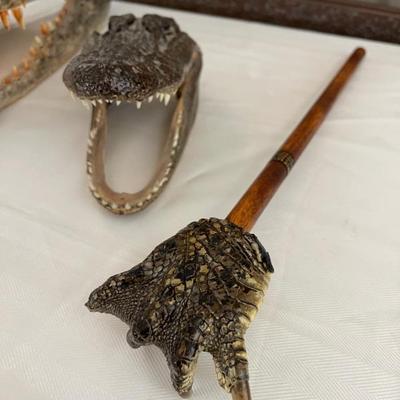 Alligator back scratcher 