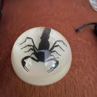Bug paper weight 