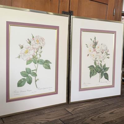 Redoute Roses Antiquarian Prints (2)