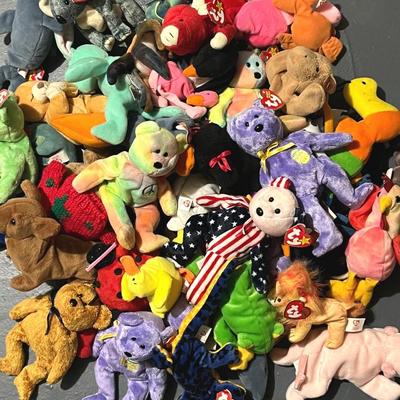 Beanie Babies Collection (49)