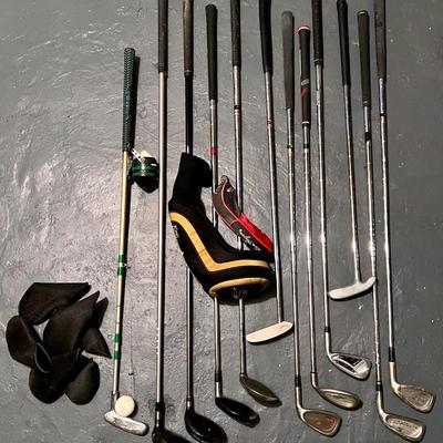 Assorted Golf Clubs (12) With Adams, King Cobra, Ping i20, Callaway Putter, Etc 