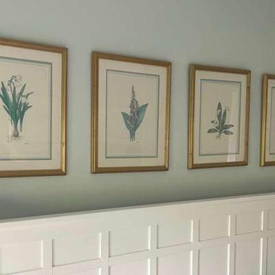 Peter Draper Botanical Prints (4)