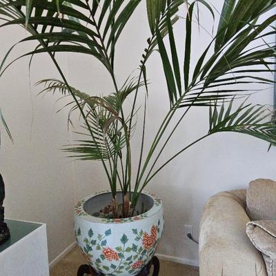 MASSIVE INDOOR PLANT IN LARGE POT ON STAND