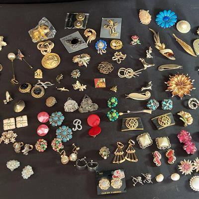 Brooches, Clip On Earrings, Hat Pins, And Dress Clips