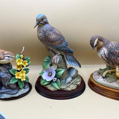 Andrea By Sadek Bob White, Morning Dove And Carolina Wren 