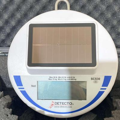 Detecto SCS30 Digital Hanging Scale – 30 lb Capacity (1 of 2)