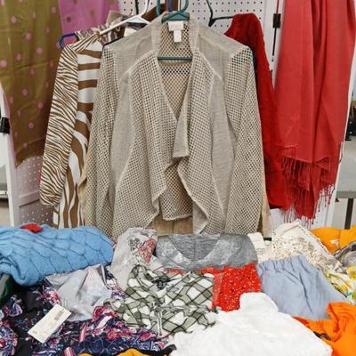 Quality Women's Clothing #3  Size 10 + Size 1 In Chicos 