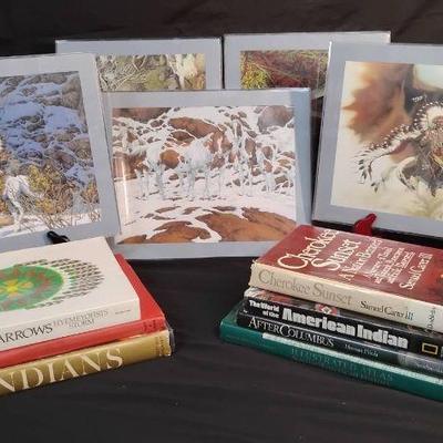 Ct325 native american art books