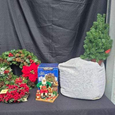 Ct408 holiday berries and more
