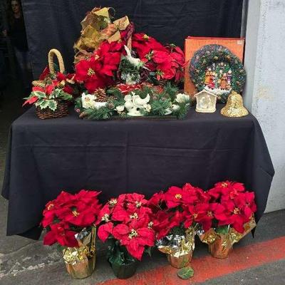 Ct420 poinsettias lane