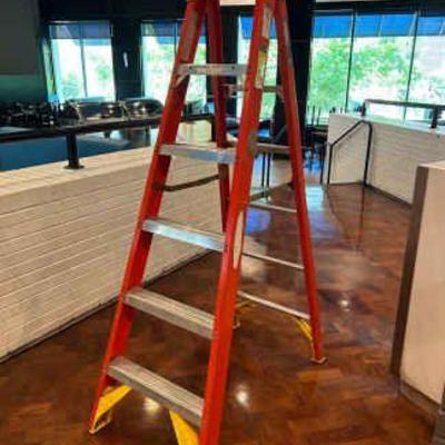 DBB245- Werner Pro Series Ladder 