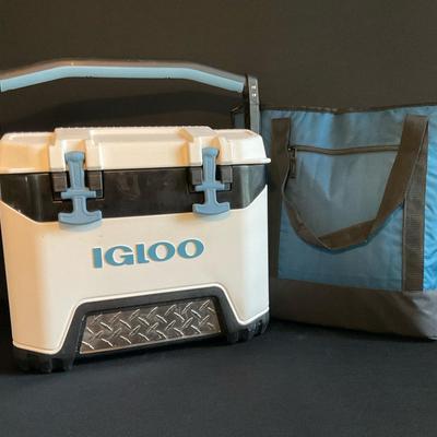 Igloo Cooler And Friend