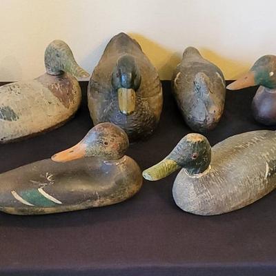 Duck Decoys (LR)