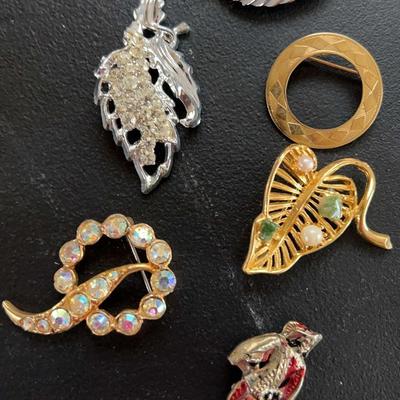 Costume Jewelery - 6 Brooches & 1 Ring