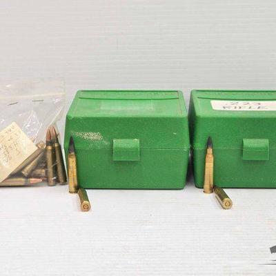 #1994 • Approx (120) Rounds of 223 Ammo
