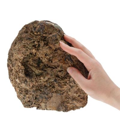 Agate Geode
