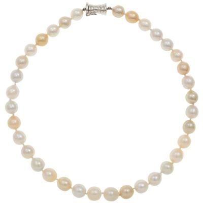 South Sea Cultured Pearl, 14k White Gold Necklace