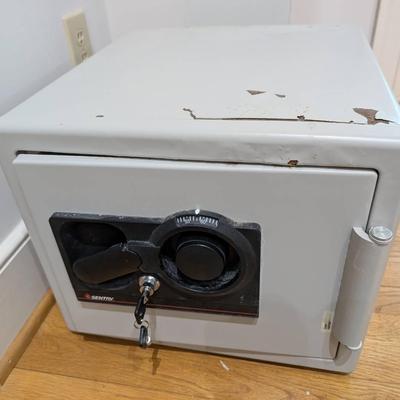 Sentry Fire Safe