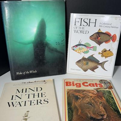 Whales Fish & Big Cat Books