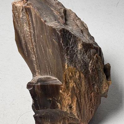 Raw Petrified Wood Piece, 306.26g