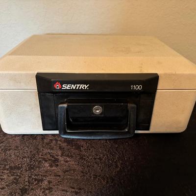 Sentry 1
