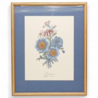 Framed Botanical Print of “Anemone Œillet d’inde” Flowers